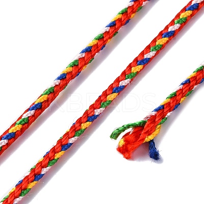 Multi-Color Decorative Braided Nylon Cord NWIR-C005-01C-1