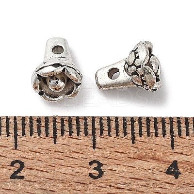 Tibetan Style Alloy Charms LS-FIND-A035-13AS-1