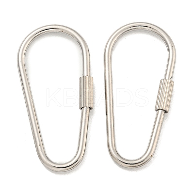 Non-Tarnish 304 Stainless Steel Screw Carabiner Lock Charms LS-STAS-C092-09A-P-1