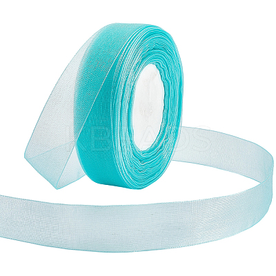 1 Rolls Sheer Organza Ribbon SRIB-CY0001-22A-06-1