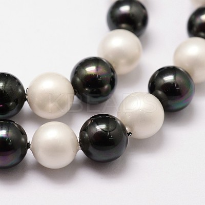 Polished Shell Pearl Bead Strands X-BSHE-F013-07C-1