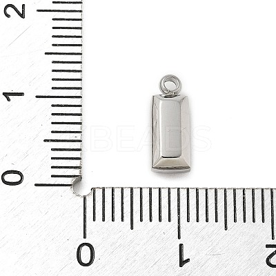 304 Stainless Steel Charm STAS-L022-242P-06-1