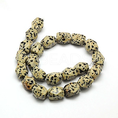 Natural Dalmatian Jasper Faceted Rhombus Beads Strands G-L235-12-1