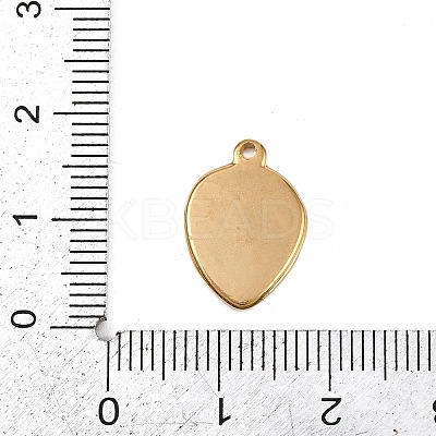 304 Stainless Steel Enamel Pendants LS-STAS-G363-15G-1