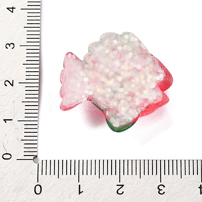 Marine Organism Theme Resin Cabochons RESI-Q010-01D-1
