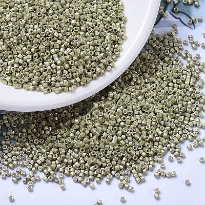 MIYUKI Delica Beads X-SEED-J020-DB1181-1