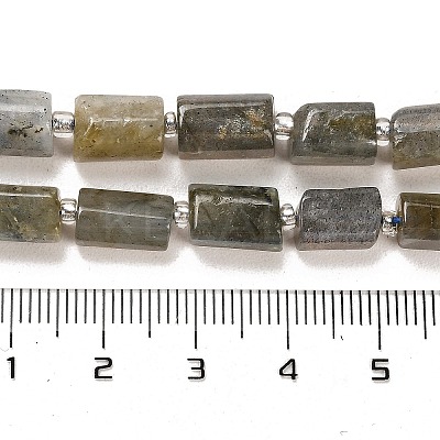 Natural Labradorite Beads Strands G-G068-A10-01-1