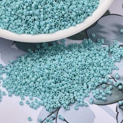 MIYUKI Delica Beads Small X-SEED-J020-DBS1595-1