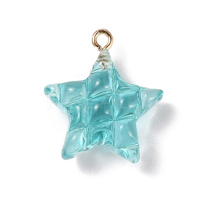 Transparent Resin Pendants LS-RESI-Z016-02F-LG-1