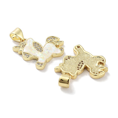 Brass Micro Pave Clear Cubic Zirconia Pendants KK-L213-031G-1