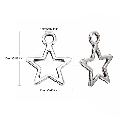 Tibetan Style Alloy Charms X-LF10651Y-NF-1