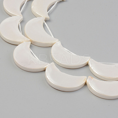 Electroplate Natural Freshwater Shell Beads Strands SHEL-T017-15B-1