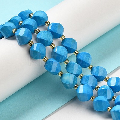 Dyed Natural Howlite Beads Strands G-G023-B01-01A-1
