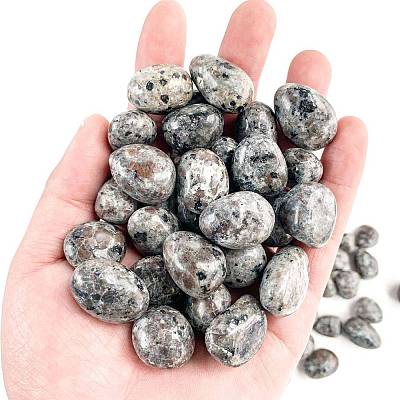 Natural Syenite Healing Stones PW-WGD7FF2-23-1