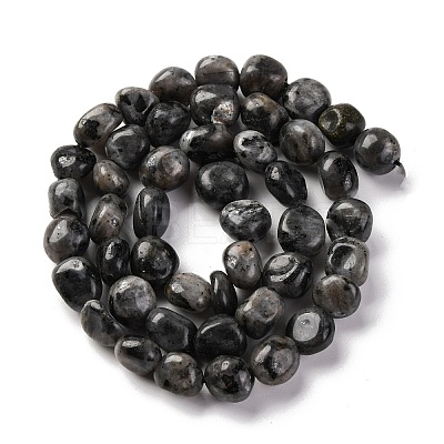 Natural Larvikite Beads Strands G-G146-A13-01-1