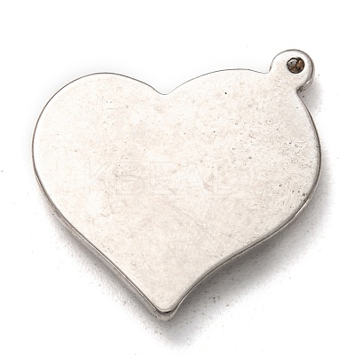 Non-Tarnish 304 Stainless Steel Pendants STAS-I170-16P-1
