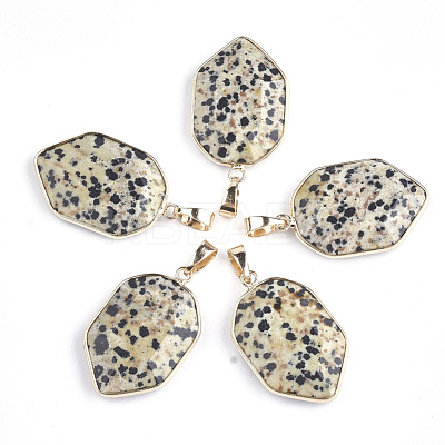 Natural Dalmatian Jasper Pendants G-S344-12B-1