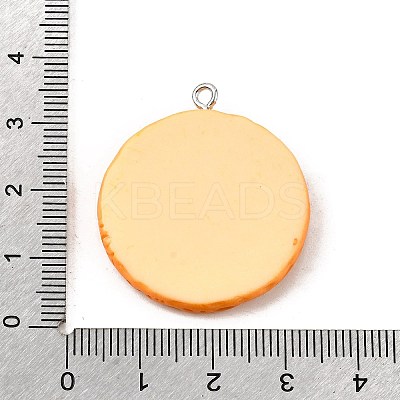 Opaque Resin Pendants LS-CRES-D313-02P-1