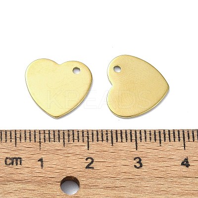 Ion Plating(IP) 201 Stainless Steel Charms STAS-H191-01C-G-1