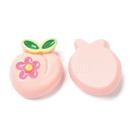 Opaque Resin Fruit Cabochons LS-RESI-G072-02C-1