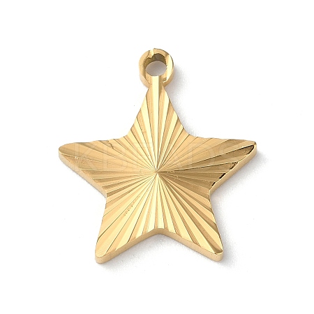 Ion Plating(IP) 304 Stainless Steel Pendants STAS-D025-04G-02-1