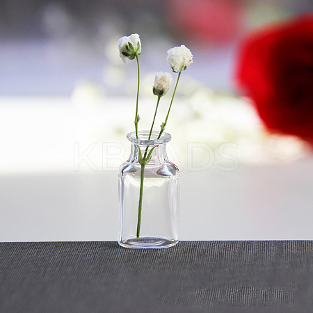 Transparent Miniature Glass Vase Bottles BOTT-PW0006-04A-1