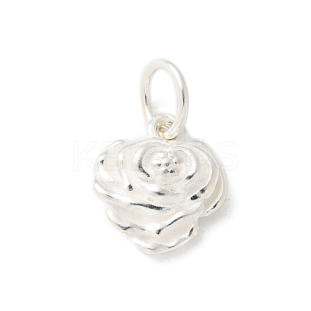 S925 Sterling Silver Pendant STER-H115-08C-S-1