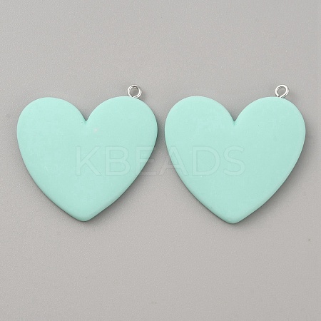 Opaque Resin Pendants LS-CRES-TAC0007-02D-1