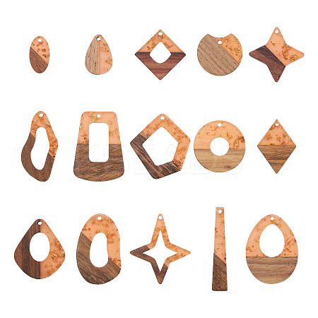 30Pcs 15 Style Transparent Resin & Walnut Wood Pendants RESI-FW0001-04-1