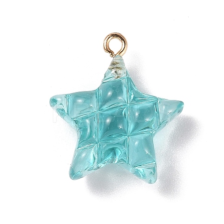 Transparent Resin Pendants LS-RESI-Z016-02F-LG-1