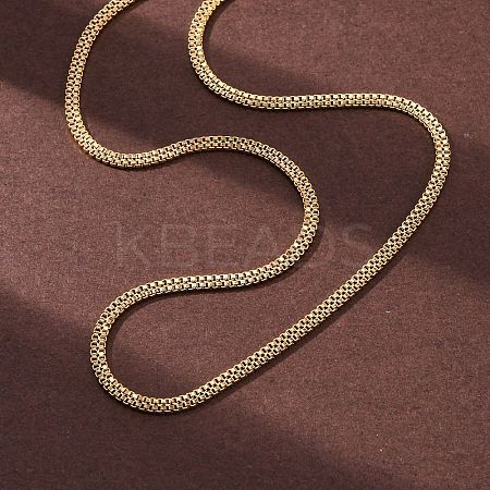 2.5MM 304 Stainless Steel Double Box Chain Necklaces NJEW-Q013-05G-1