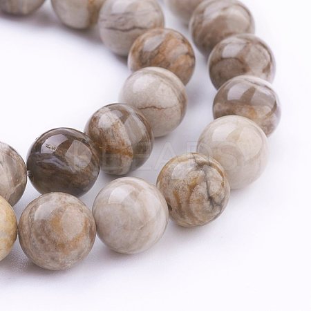 Natural Silver Leaf Jasper Beads Strands G-G683-01-10mm-1