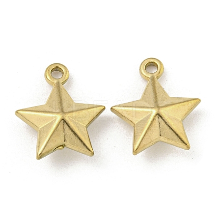 Ion Plating(IP) 304 Stainless Steel Charms STAS-I307-551G-1