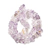 Natural Ametrine Beads Strands G-H315-A03-02-3
