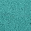 TOHO Round Seed Beads SEED-TR11-0055-2