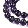Transparent Glass Beads Strands GLAA-T032-T10mm-03-4