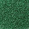 8/0 Glass Seed Beads SEED-A017-3mm-1114-2
