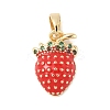 Brass Micro Pave Cubic Zirconia Enamel Pendants LS-KK-M326-05C-G-1