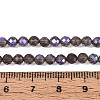 AB Color Plated Natural Ice Obsidian Beads Strands G-T144-B07-06-4
