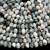 Natural Tree Agate Beads Strands G-Z111-A46-4