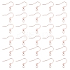 316 Surgical Stainless Steel Earring Hooks STAS-P220-13RG-1