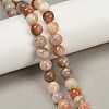 Natural Arusha Sunstone Beads Strands G-P488-04B-2