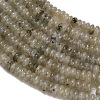 Natural Labradorite Beads Strands G-Z110-B11-2x4mm-4