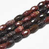 Natural Red Rainbow Jasper Beads Strands G-S357-A02-1