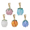 Handmade Lampwork Pendants PALLOY-JF05186-1