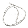 Natural Howlite Beads Strands G-M420-H14-03-3