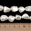 Shell Pearl Beads Strands BSHE-C008-01-4