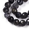 Natural Cordierite/Iolite/Dichroite Beads Strands G-S345-8mm-27-4