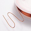 Copper Jewelry Wire CWIR-CW0.5mm-10-3