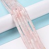 Natural Rose Quartz Beads Strands G-G990-C13-2